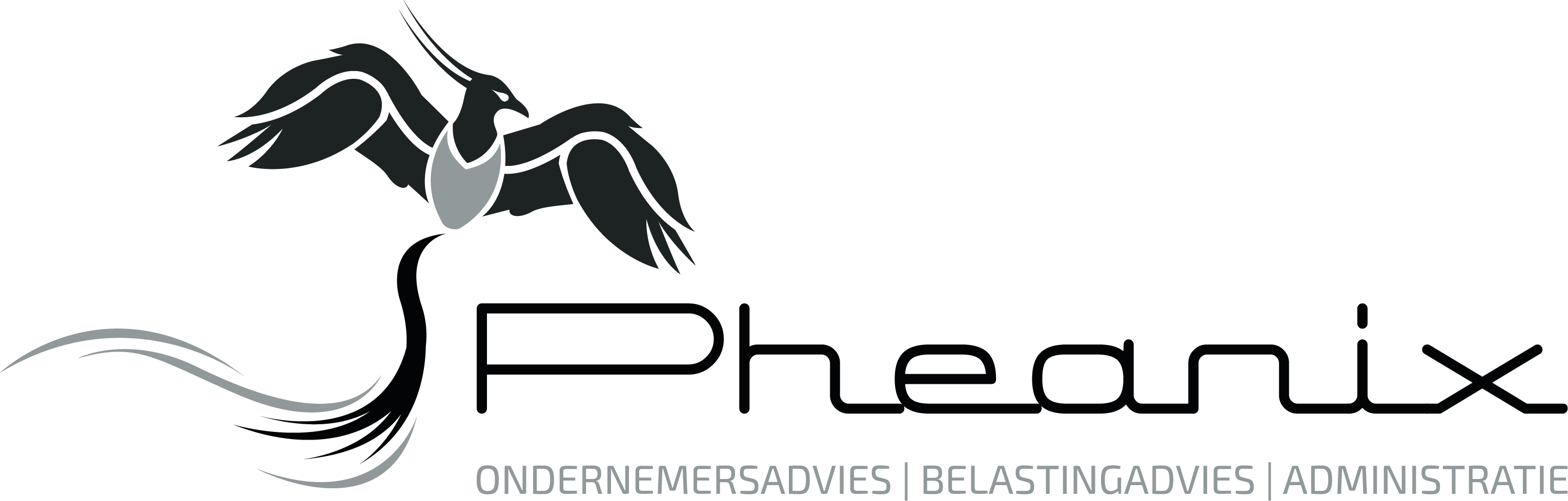 Pheanix Aangifte Online